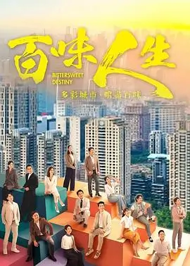 南风知我意都市剧在线观看