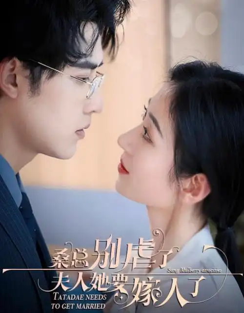 回声档案悬疑电视剧全集在线看